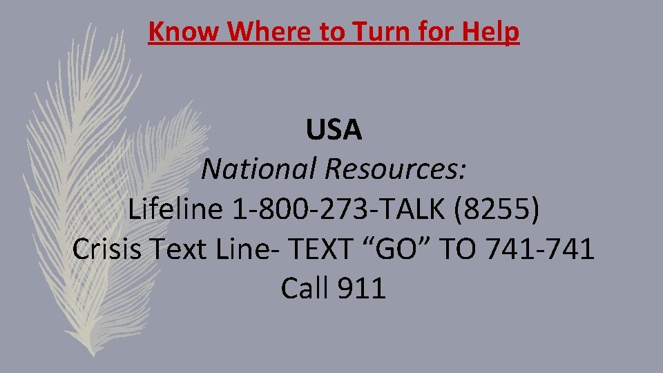 Know Where to Turn for Help USA National Resources: Lifeline 1 -800 -273 -TALK