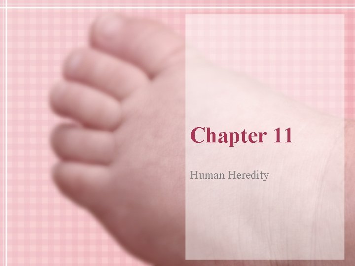 Chapter 11 Human Heredity 