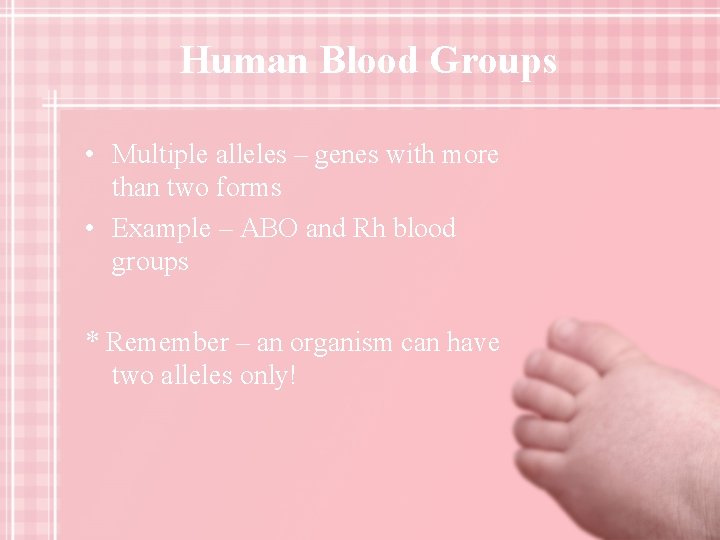 Human Blood Groups • Multiple alleles – genes with more than two forms •