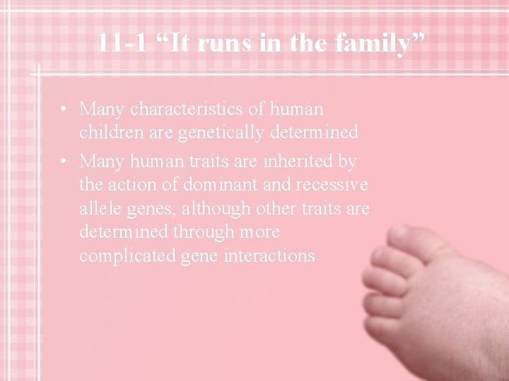 11 -1 “It runs in the family” • Many characteristics of human children are