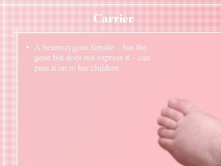 Carrier • A heterozygous female – has the gene but does not express it