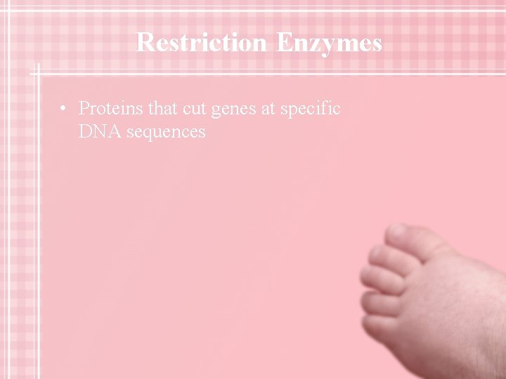 Restriction Enzymes • Proteins that cut genes at specific DNA sequences 