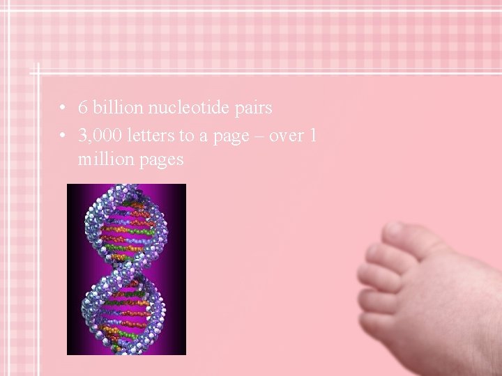  • 6 billion nucleotide pairs • 3, 000 letters to a page –