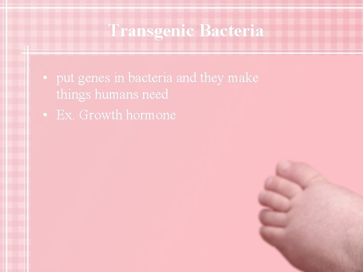 Transgenic Bacteria • put genes in bacteria and they make things humans need •