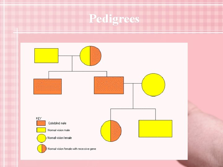 Pedigrees 