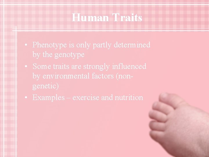 Human Traits • Phenotype is only partly determined by the genotype • Some traits