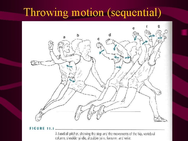 Throwing motion (sequential) Throwing motion (sequential)