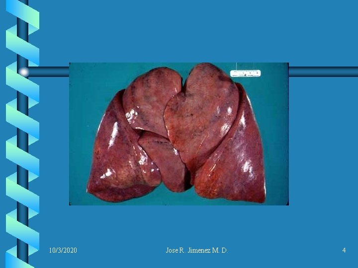 10/3/2020 Jose R. Jimenez M. D. 4 