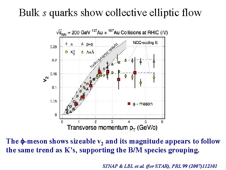 Bulk s quarks show collective elliptic flow The -meson shows sizeable v 2 and