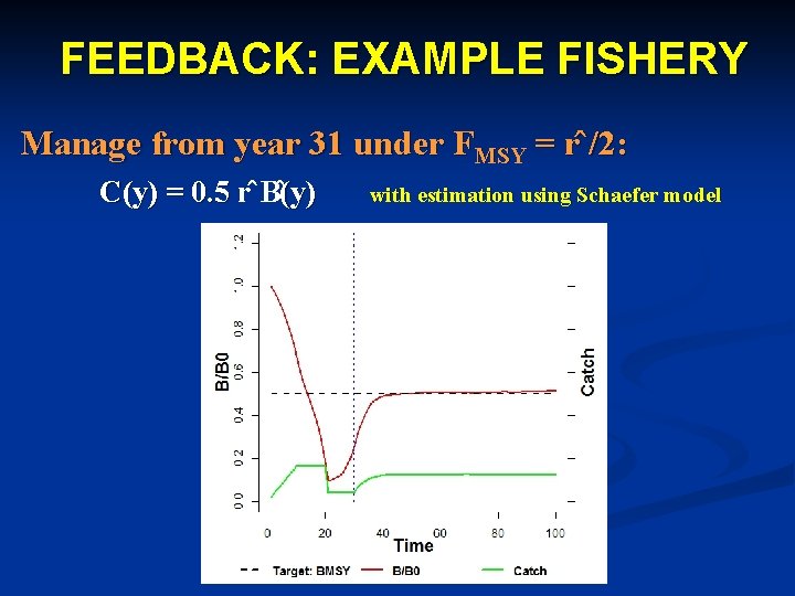 FEEDBACK: EXAMPLE FISHERY Manage from year 31 under FMSY = r /2: C(y) =