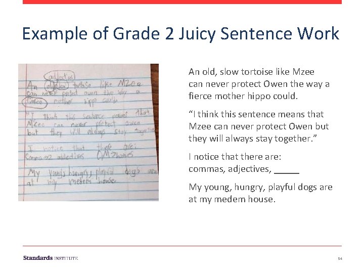 Example of Grade 2 Juicy Sentence Work An old, slow tortoise like Mzee can