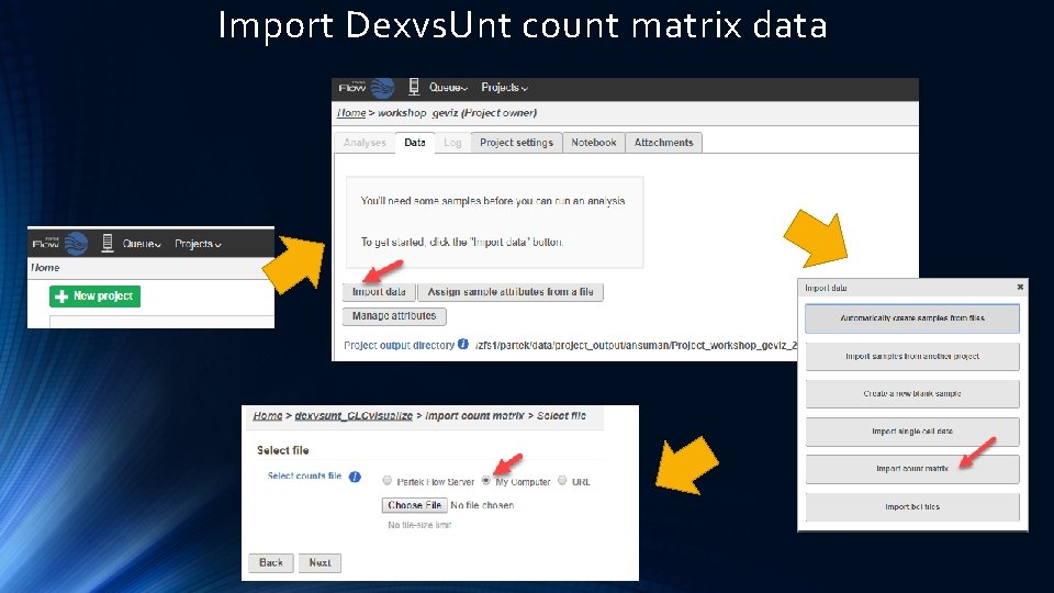 Import Dexvs. Unt count matrix data 
