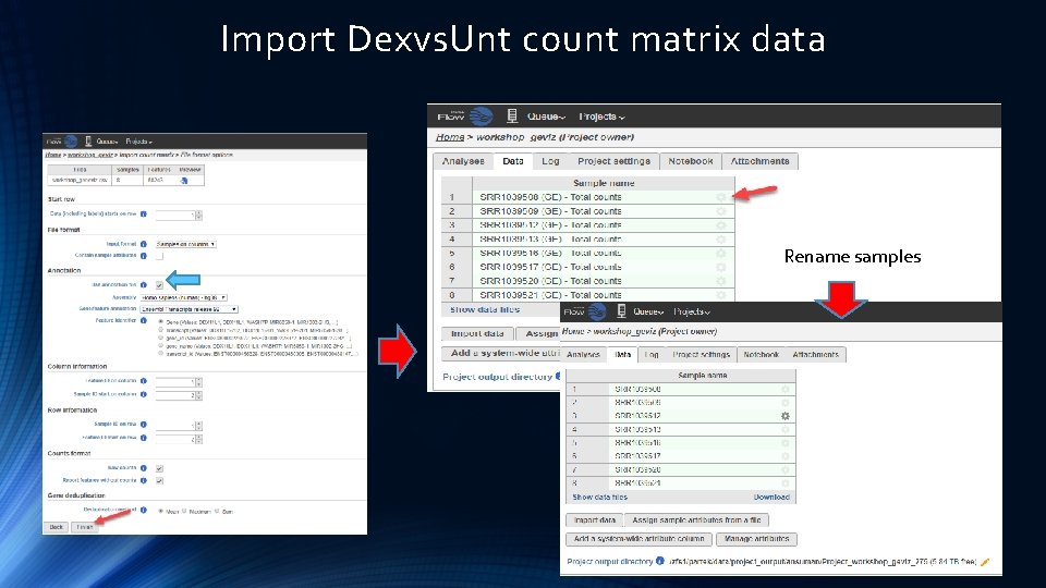 Import Dexvs. Unt count matrix data Rename samples 