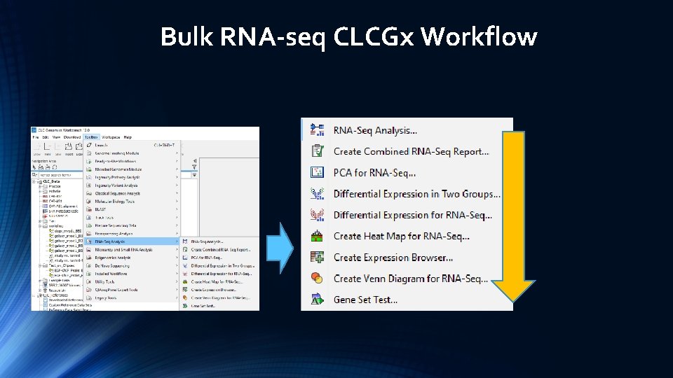 Bulk RNA-seq CLCGx Workflow 