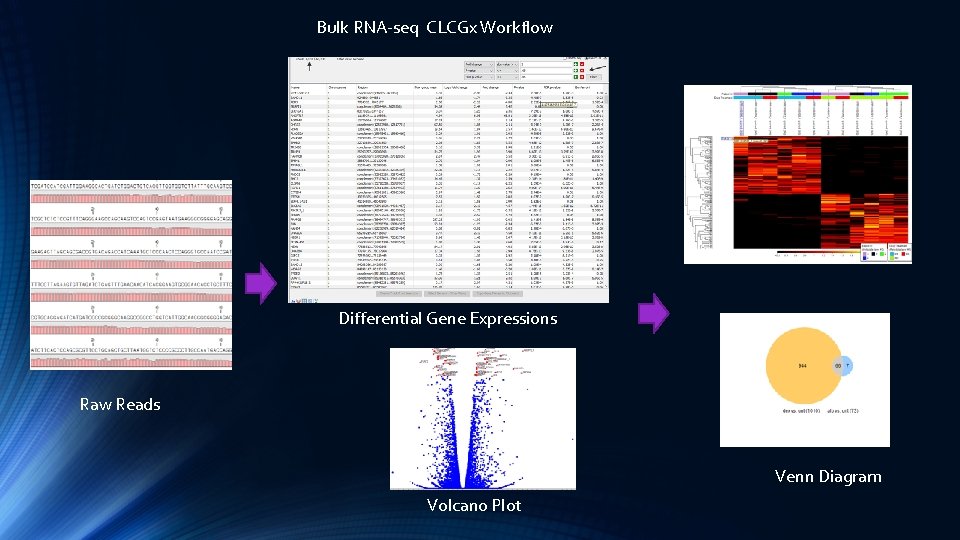 Bulk RNA-seq CLCGx Workflow Differential Gene Expressions Raw Reads Venn Diagram Volcano Plot 