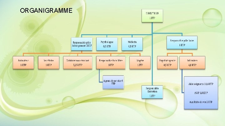 ORGANIGRAMME ORGANIGRAMME