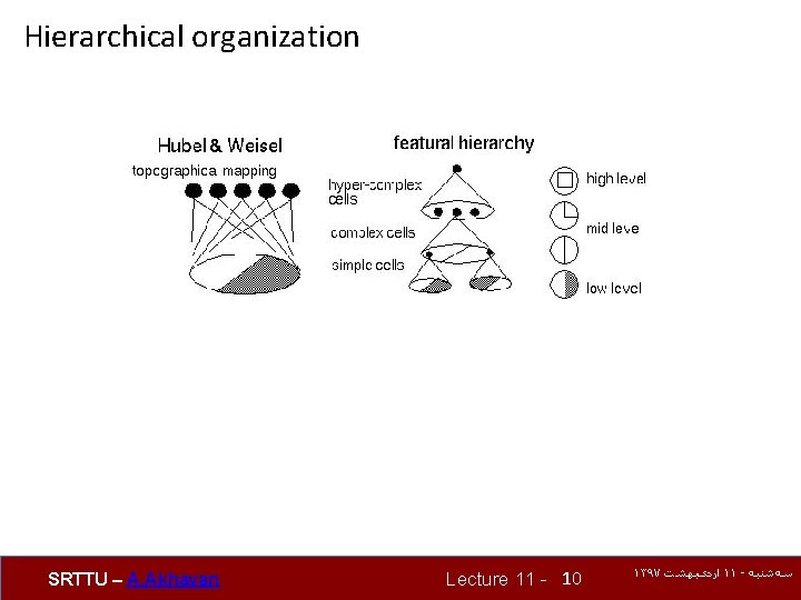 Hierarchical organization SRTTU – A. Akhavan Lecture 11 - 10 ۱۳۹۷ ﺍﺭﺩیﺒﻬﺸﺖ ۱۱ -