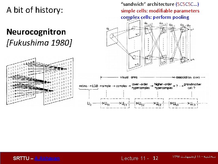 A bit of history: “sandwich” architecture (SCSCSC…) simple cells: modifiable parameters complex cells: perform
