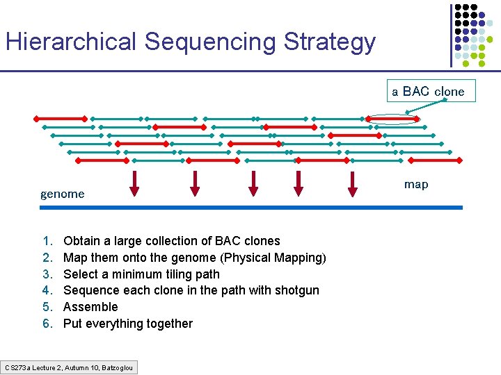 Hierarchical Sequencing Strategy a BAC clone genome 1. 2. 3. 4. 5. 6. Obtain