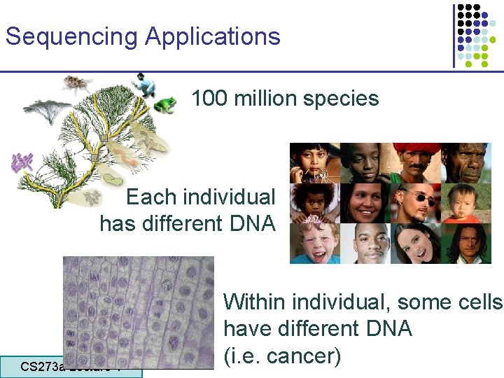 Sequencing Applications 100 million species Each individual has different DNA CS 273 a Lecture