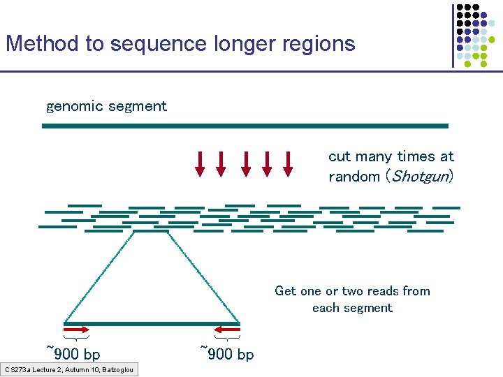 Method to sequence longer regions genomic segment cut many times at random (Shotgun) Get