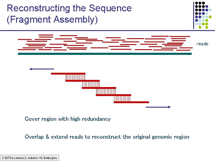 Reconstructing the Sequence (Fragment Assembly) reads Cover region with high redundancy Overlap & extend
