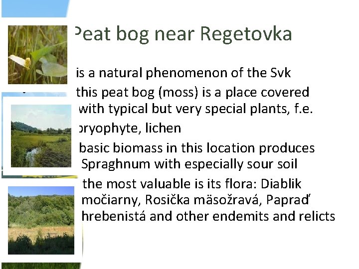  Peat bog near Regetovka • is a natural phenomenon of the Svk •