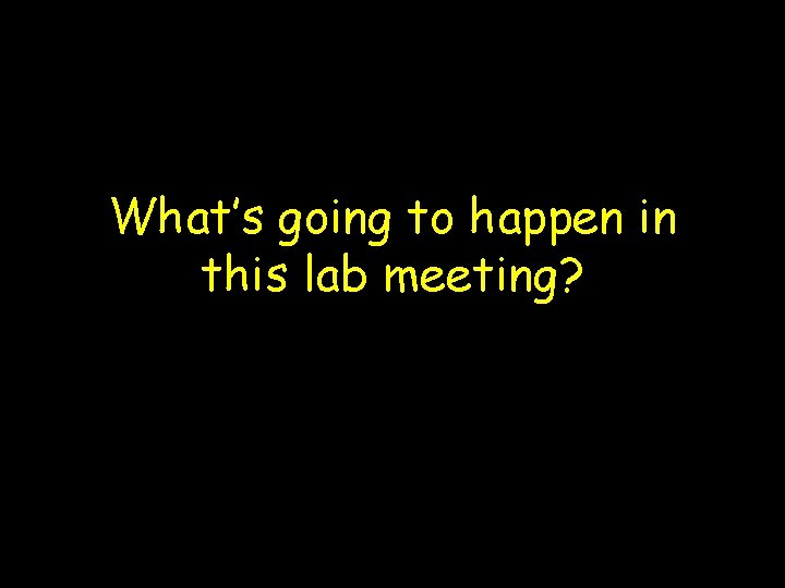 What’s going to happen in this lab meeting? 