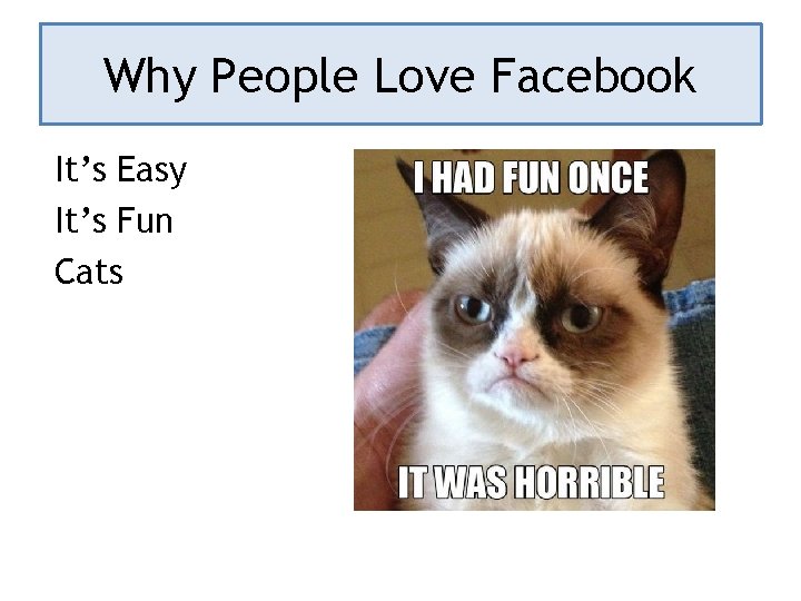 Why People Love Facebook It’s Easy It’s Fun Cats 