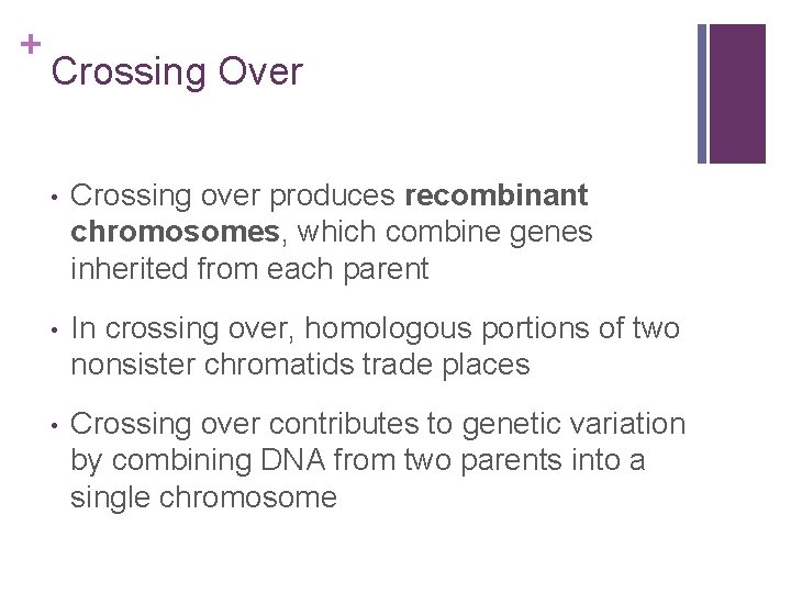 + Crossing Over • Crossing over produces recombinant chromosomes, which combine genes inherited from
