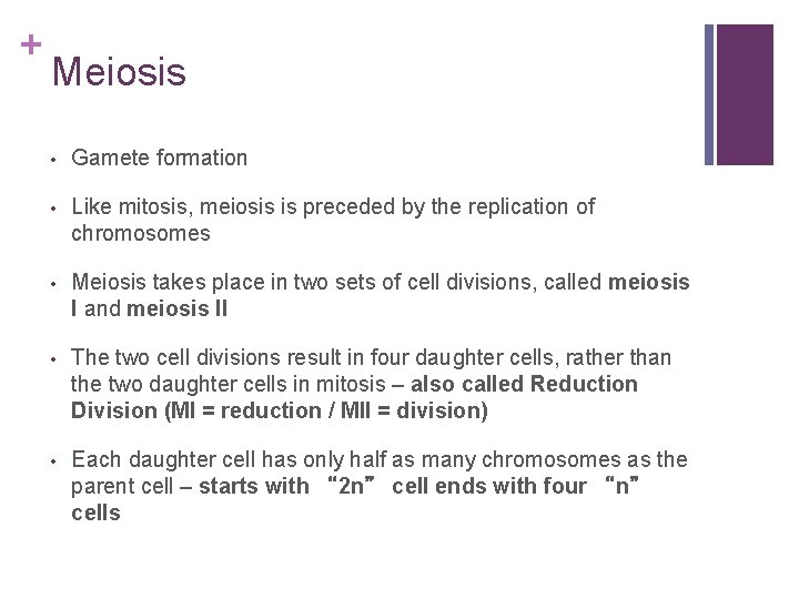 + Meiosis • Gamete formation • Like mitosis, meiosis is preceded by the replication