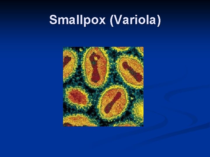 Smallpox (Variola) 