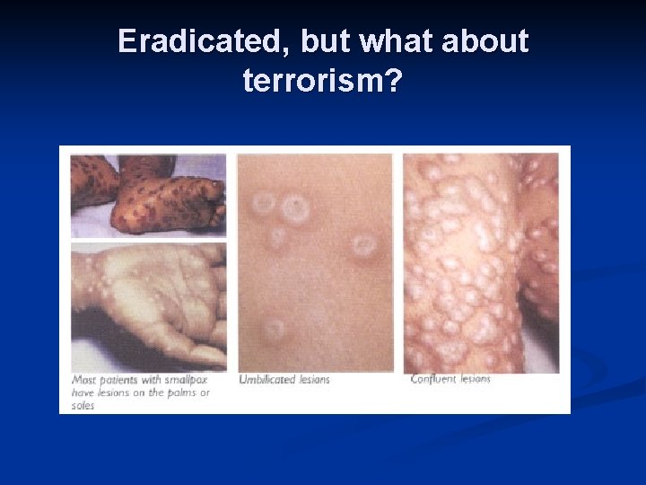 Eradicated, but what about terrorism? 