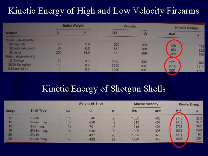 Kinetic Energy of High and Low Velocity Firearms Kinetic Energy of Shotgun Shells Kinetic Energy of High and Low Velocity Firearms Kinetic Energy of Shotgun Shells