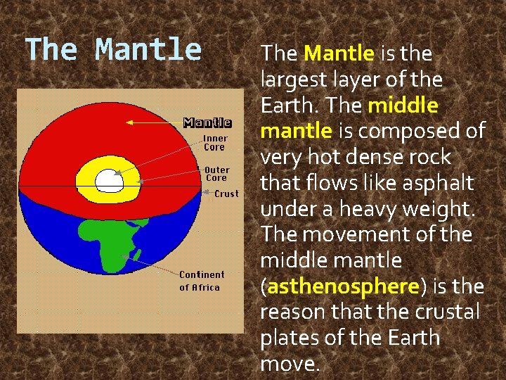 The Mantle is the largest layer of the Earth. The middle mantle is composed