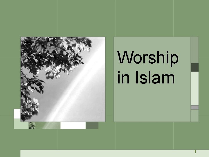 Worship in Islam 1 