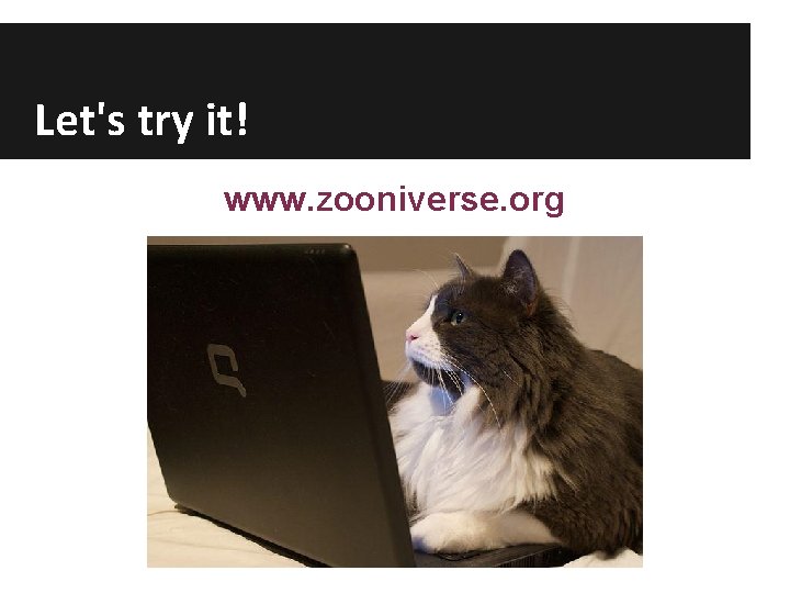 Let's try it! www. zooniverse. org 