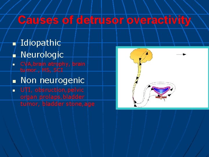 Causes of detrusor overactivity n n n Idiopathic Neurologic CVA, brain atrophy, brain tumor