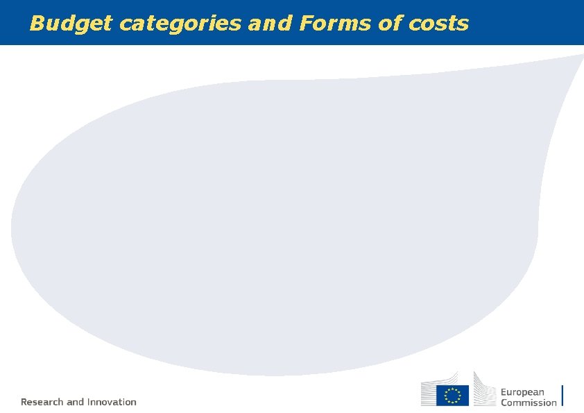 Budget categories and Forms of costs Budget categories and Forms of costs