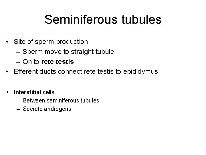 Seminiferous tubules • Site of sperm production – Sperm move to straight tubule –
