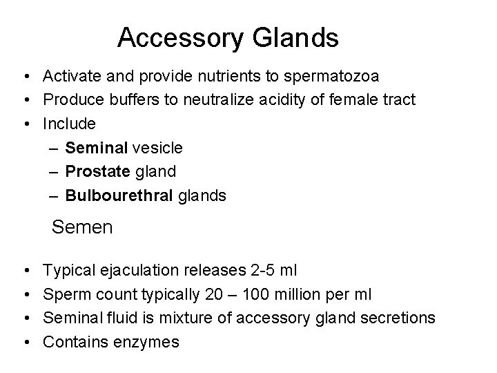 Accessory Glands • Activate and provide nutrients to spermatozoa • Produce buffers to neutralize