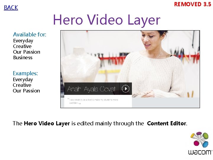 BACK REMOVED 3. 5 Hero Video Layer Available for: Everyday Creative Our Passion Business