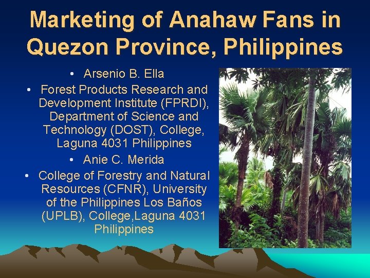 Marketing of Anahaw Fans in Quezon Province, Philippines • Arsenio B. Ella • Forest