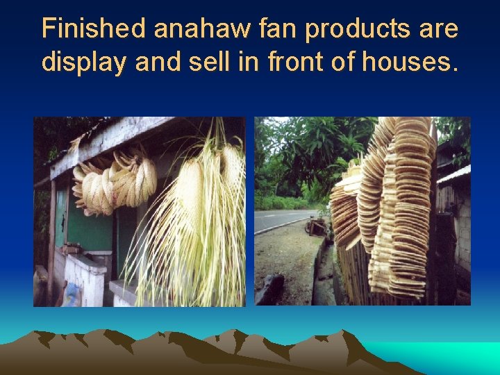 Finished anahaw fan products are display and sell in front of houses. 