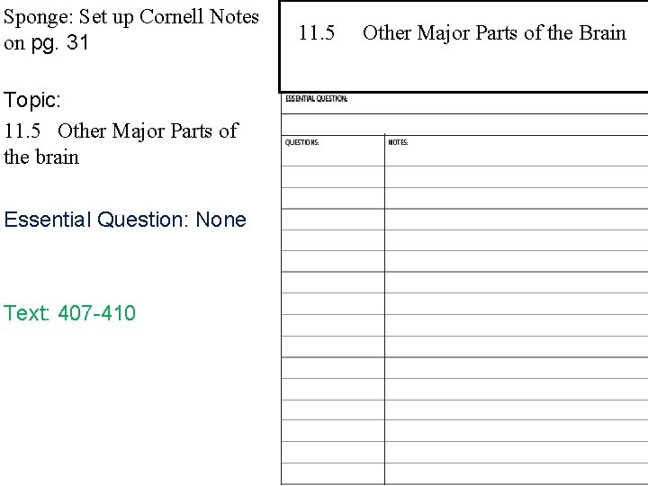 Sponge: Set up Cornell Notes on pg. 31 Topic: 11. 5 Other Major Parts