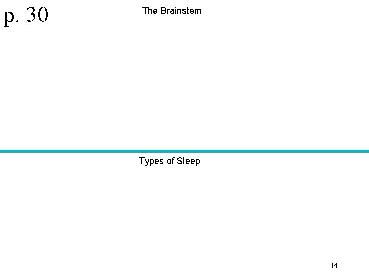 p. 30 The Brainstem Types of Sleep 14 