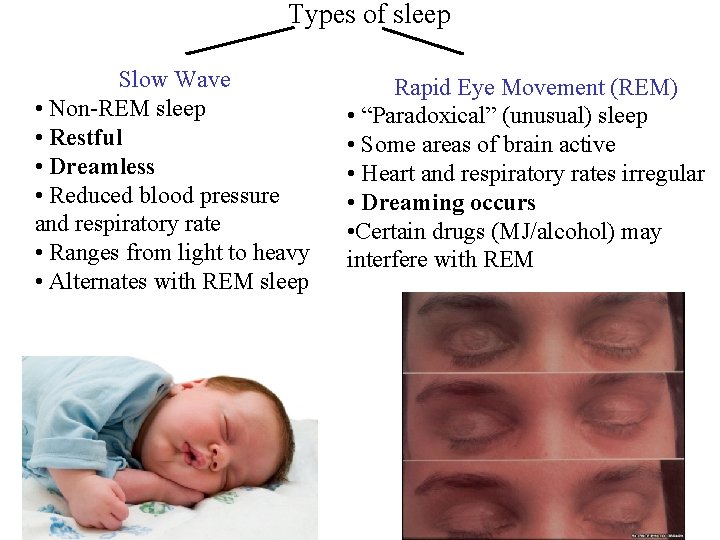  Types of sleep Slow Wave • Non-REM sleep • Restful • Dreamless •