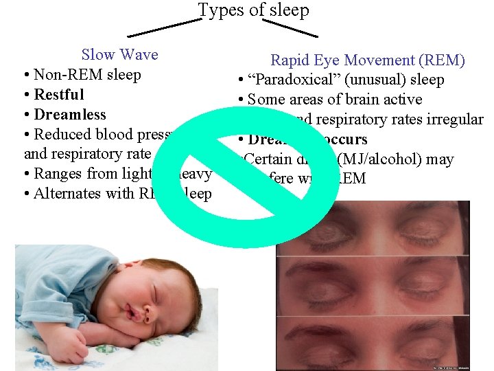  Types of sleep Slow Wave • Non-REM sleep • Restful • Dreamless •