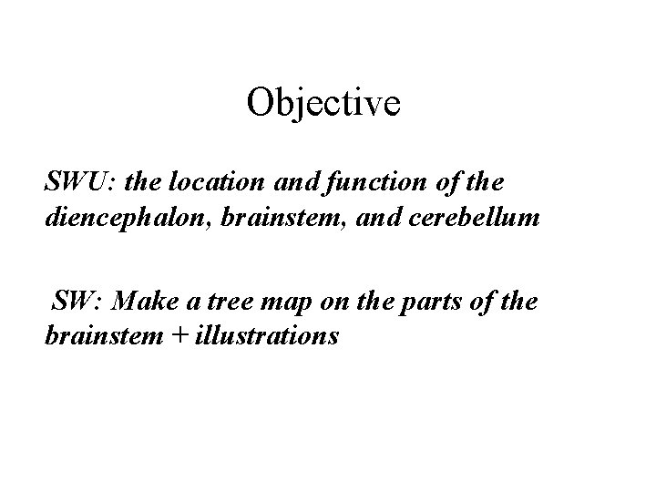 Objective SWU: the location and function of the diencephalon, brainstem, and cerebellum SW: Make