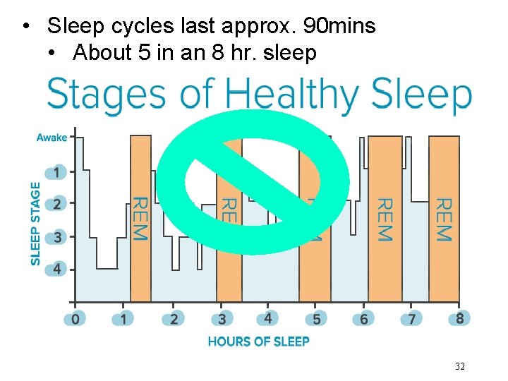  • Sleep cycles last approx. 90 mins • About 5 in an 8